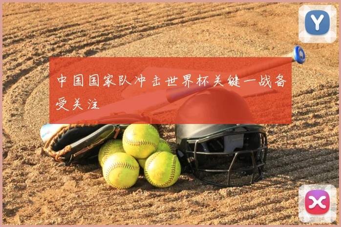 中国国家队冲击世界杯关键一战备受关注